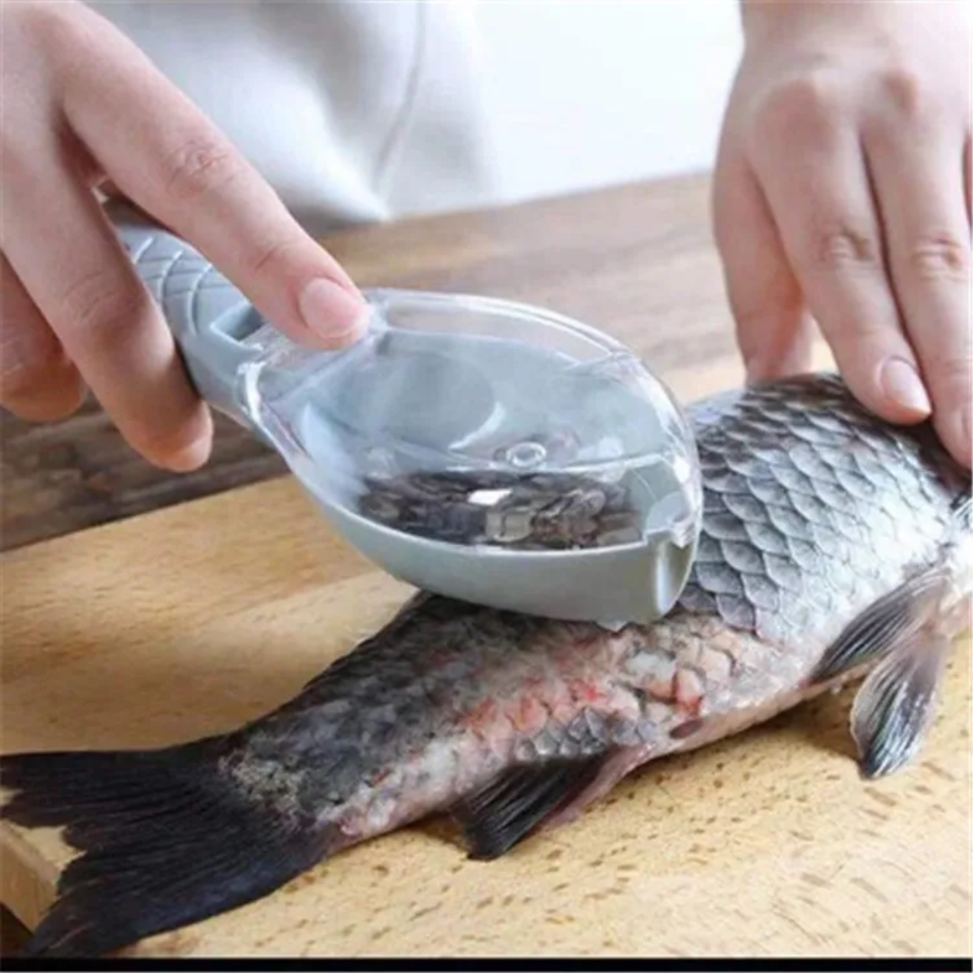 đ Ăcailleur Ă Poisson Anti-Projections